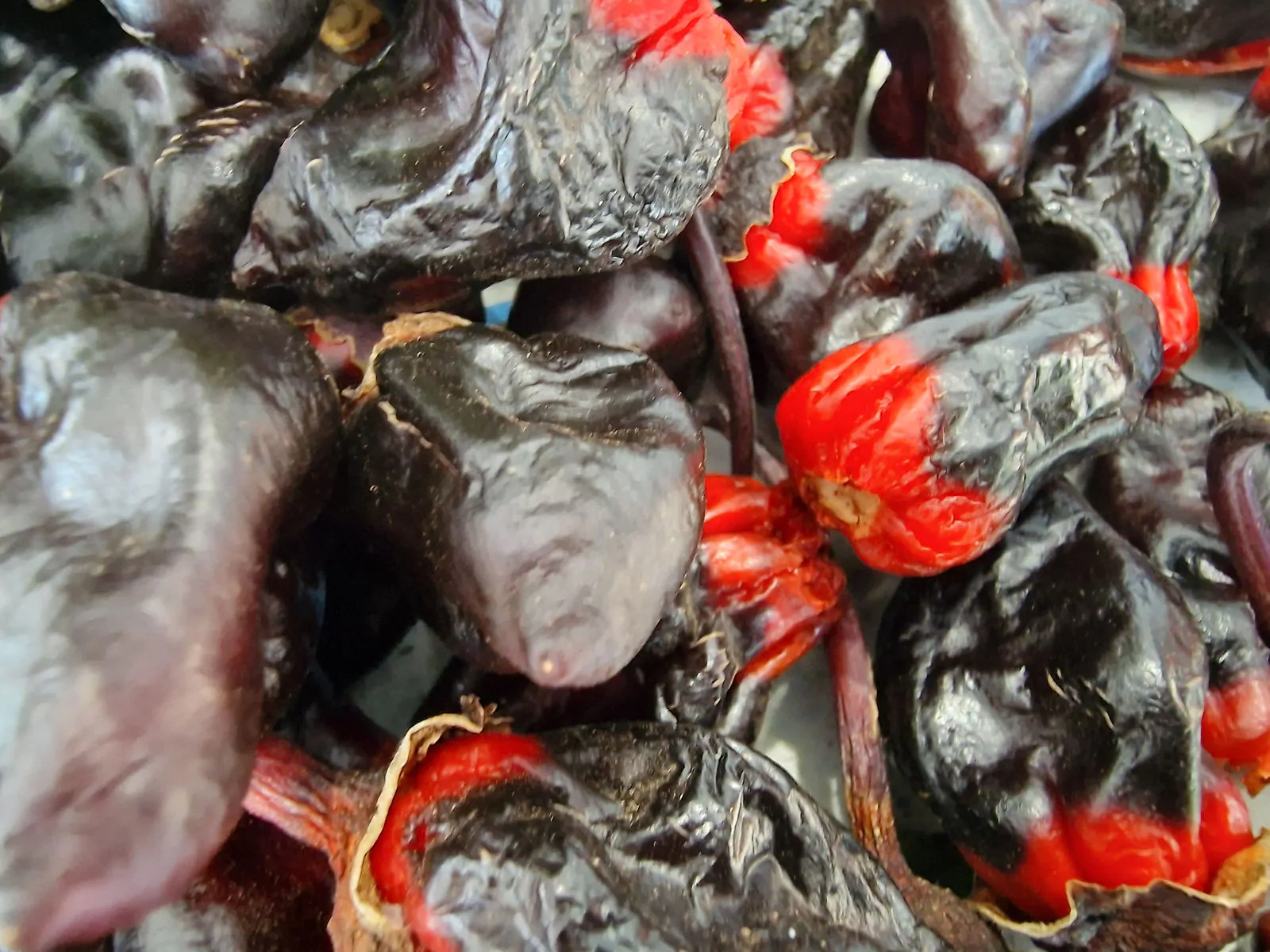 7 Pot BBG Purple Mamp Chilli Seeds - Image 2