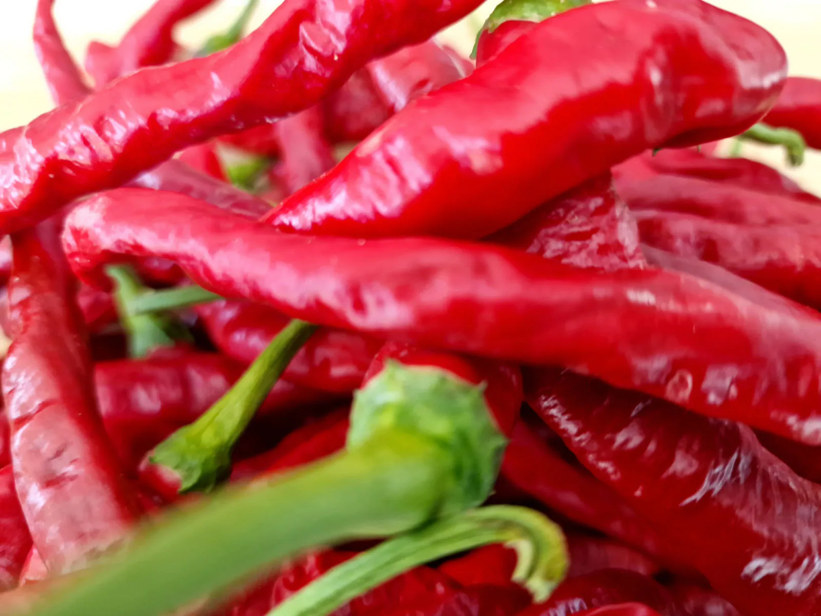 HJ7 Super Nova Space Chilli Seeds - Image 2