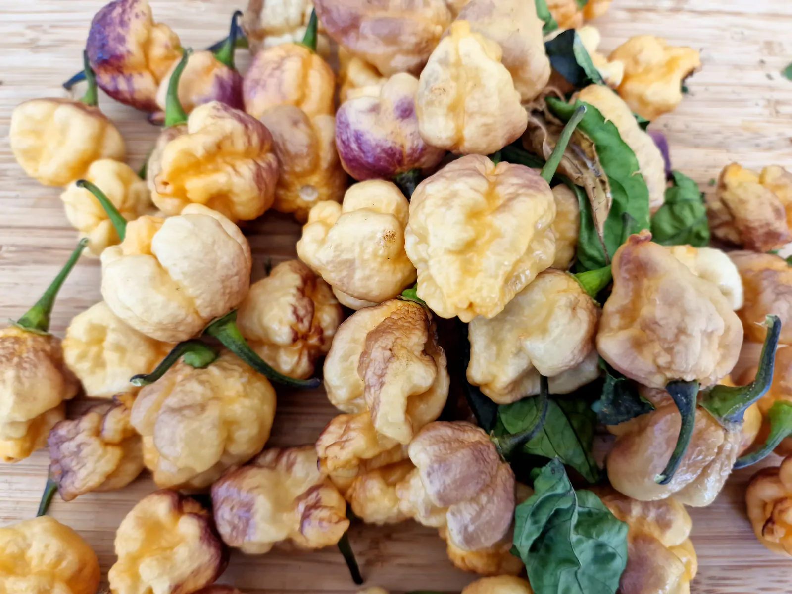 PockMark Peach Chilli Seeds - Image 6