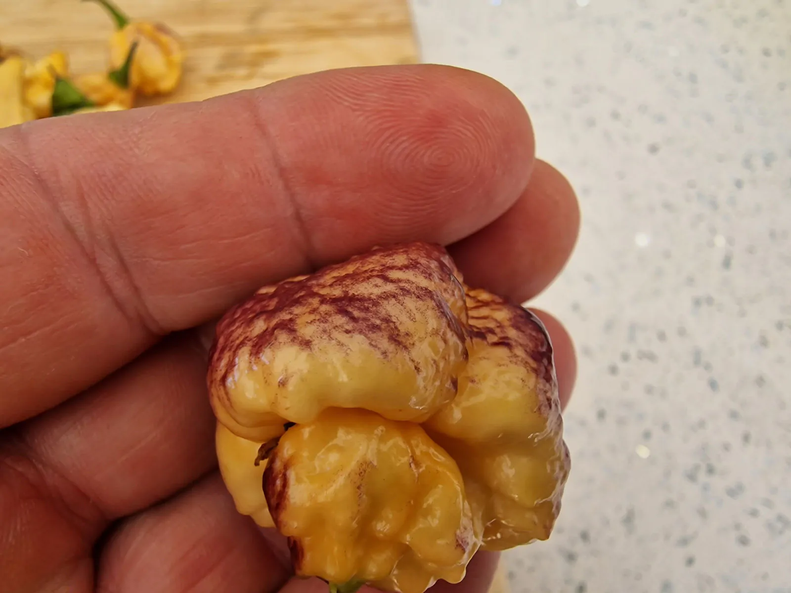 PockMark Peach Chilli Seeds - Image 3