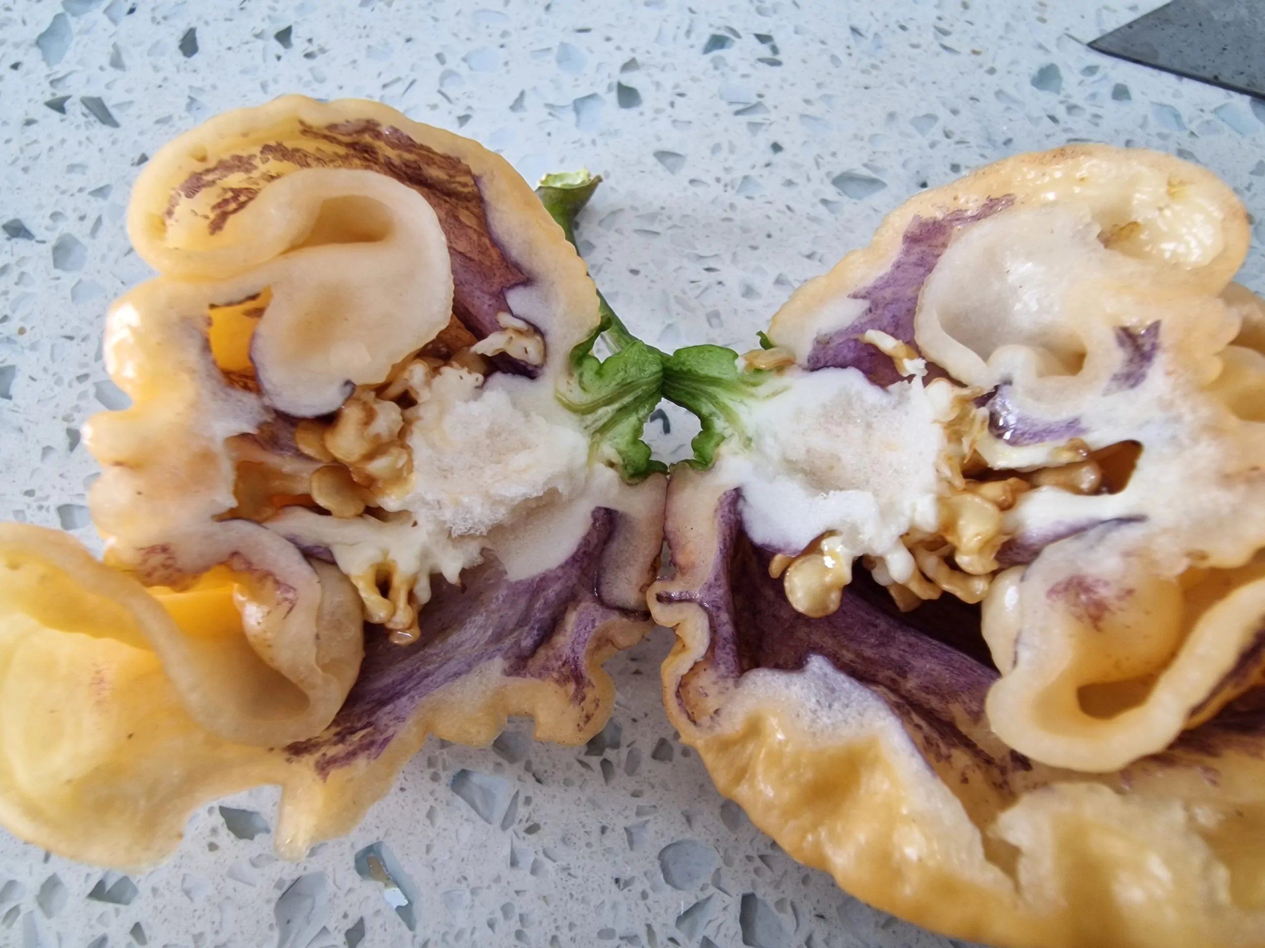 Purple Ghost Scorpion Cream Chilli Seeds - Image 2