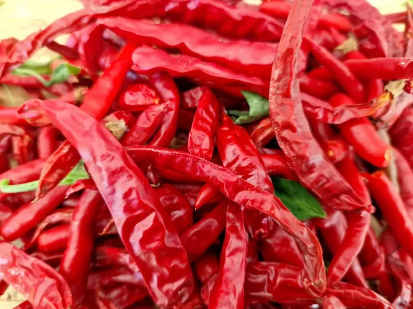 Kung Pao Chilli Seeds