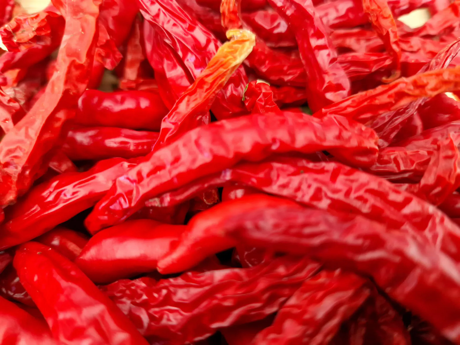 Nepal Snakebite Chilli Seeds