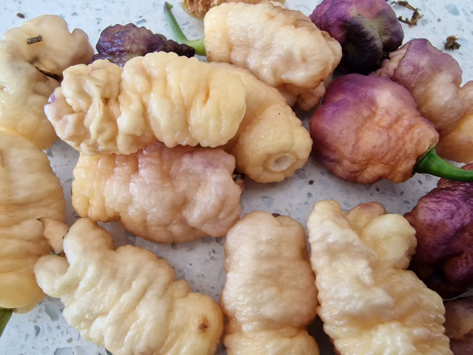 Carolina Reaper Pink Peach Chilli Seeds - Image 6