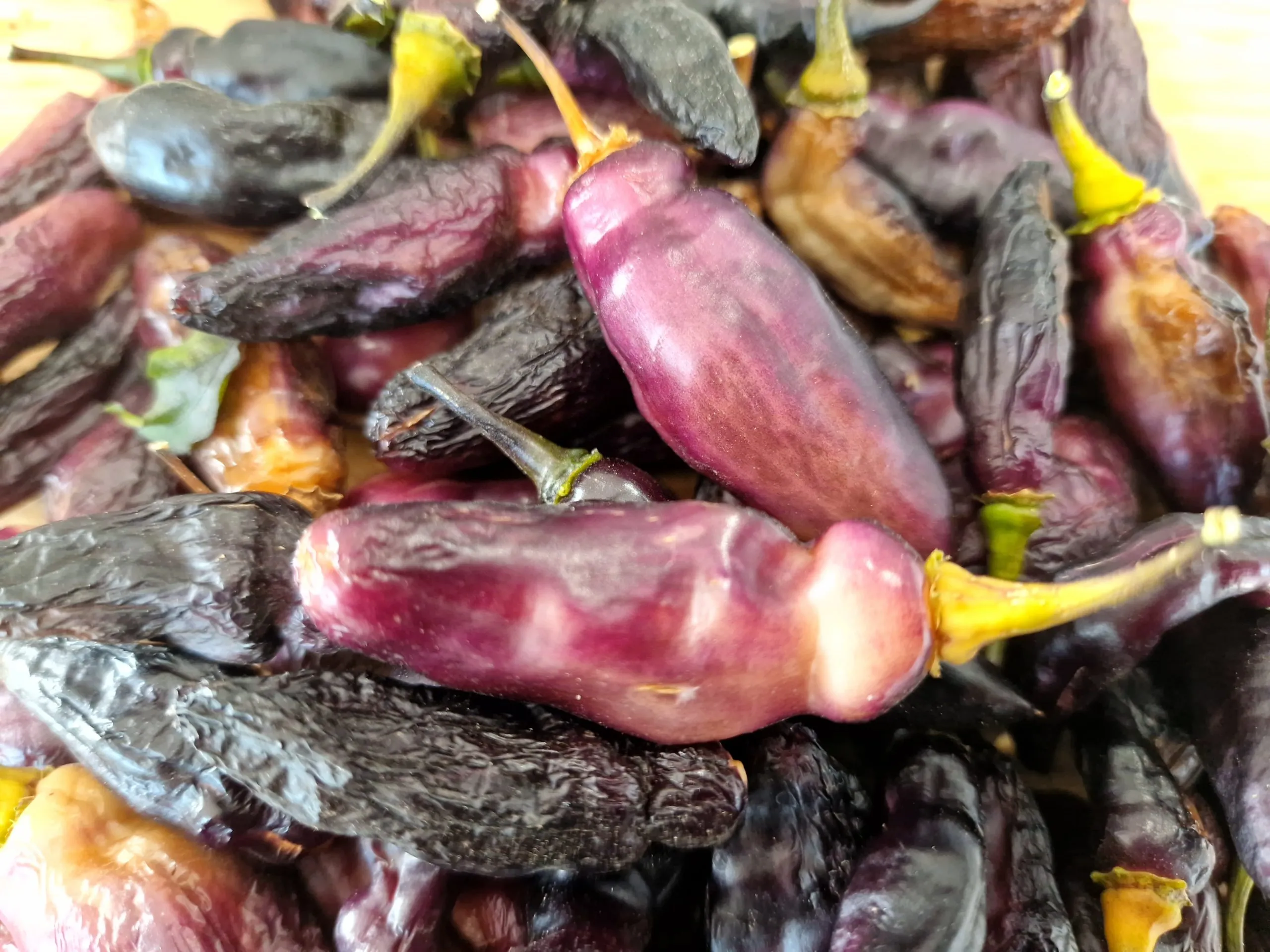 Pimenta da Neyde Chilli Seeds - Image 2