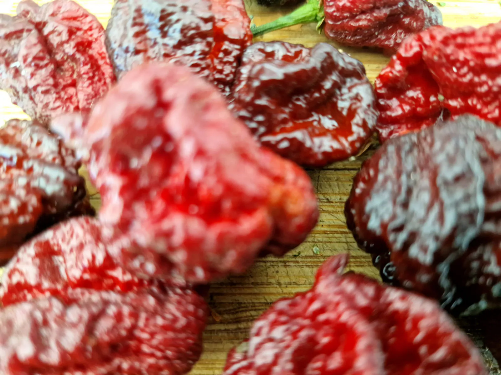 Moruga Blackjack Chilli Seeds - Image 5