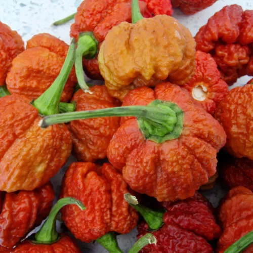 Carolina Reaper Caramel Chilli Seeds