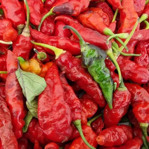 Black Ghost Chilli Seeds