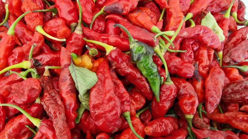 Black Ghost Chilli Seeds