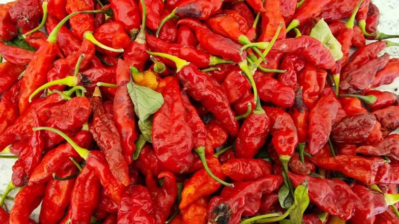 Black Ghost Chilli Seeds - Image 7