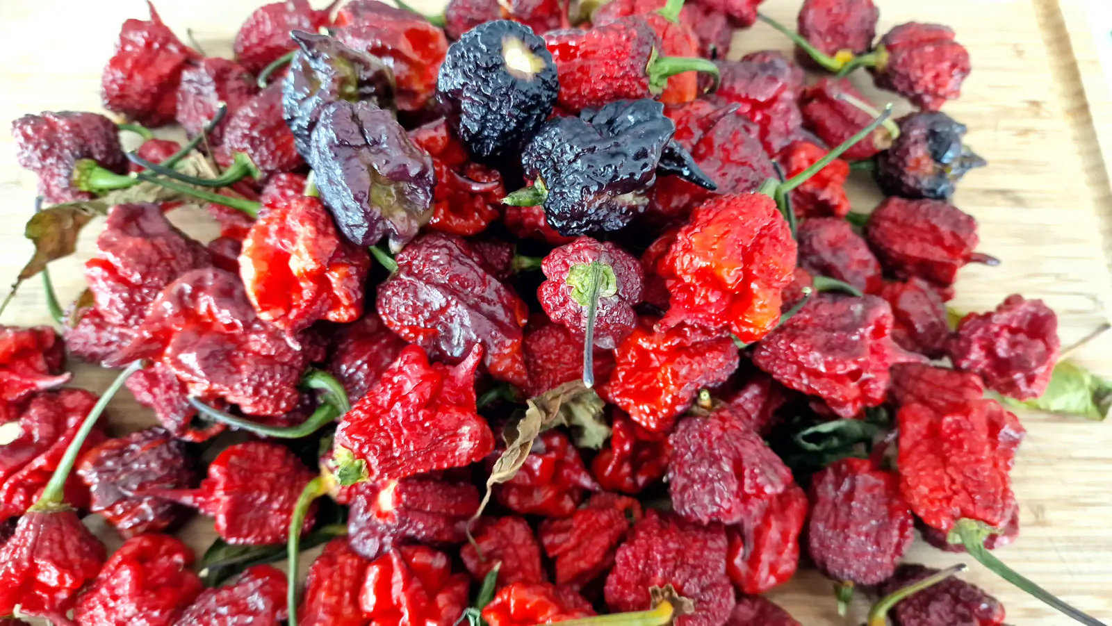 Carolina Reaper Purple Chilli Seeds - Image 4