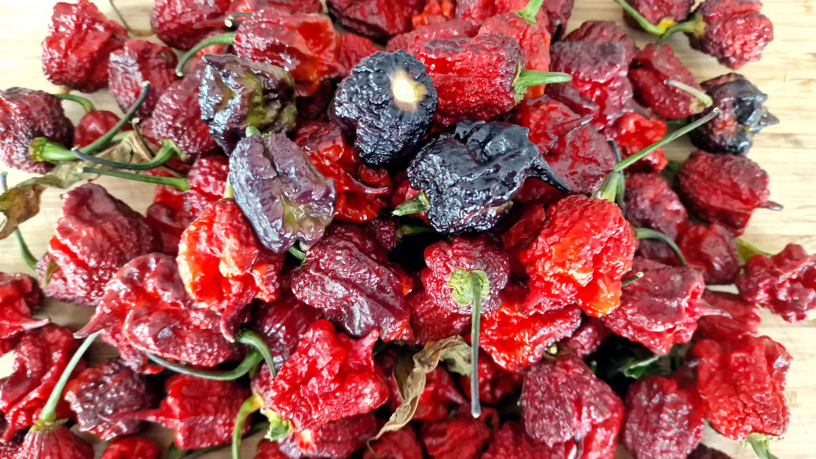 Carolina Reaper Purple Chilli Seeds - Image 13