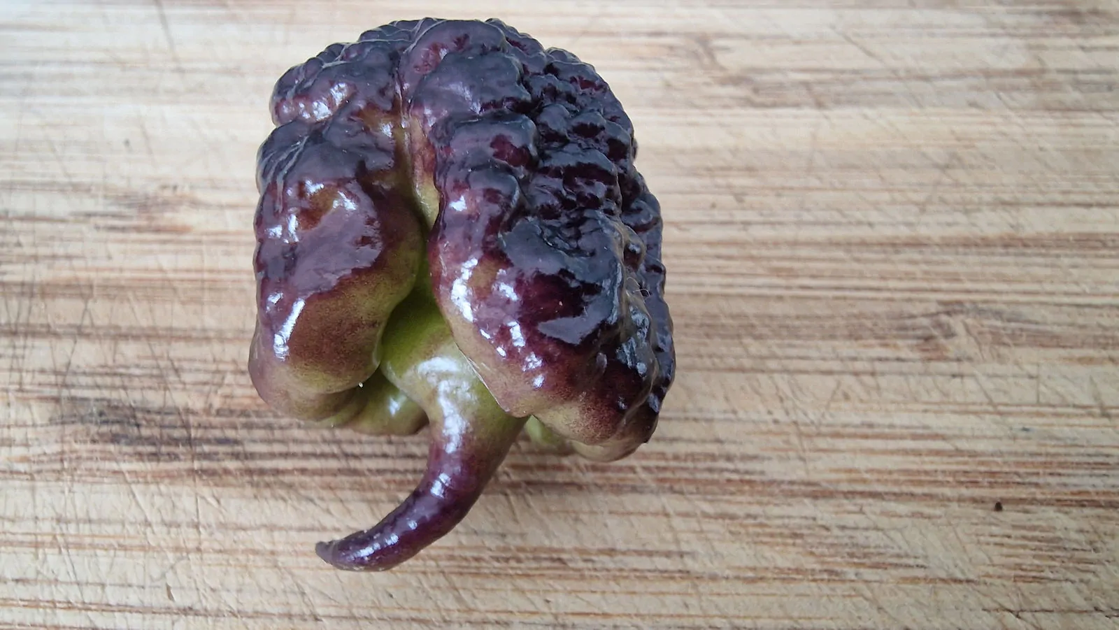 Carolina Reaper Purple Chilli Seeds