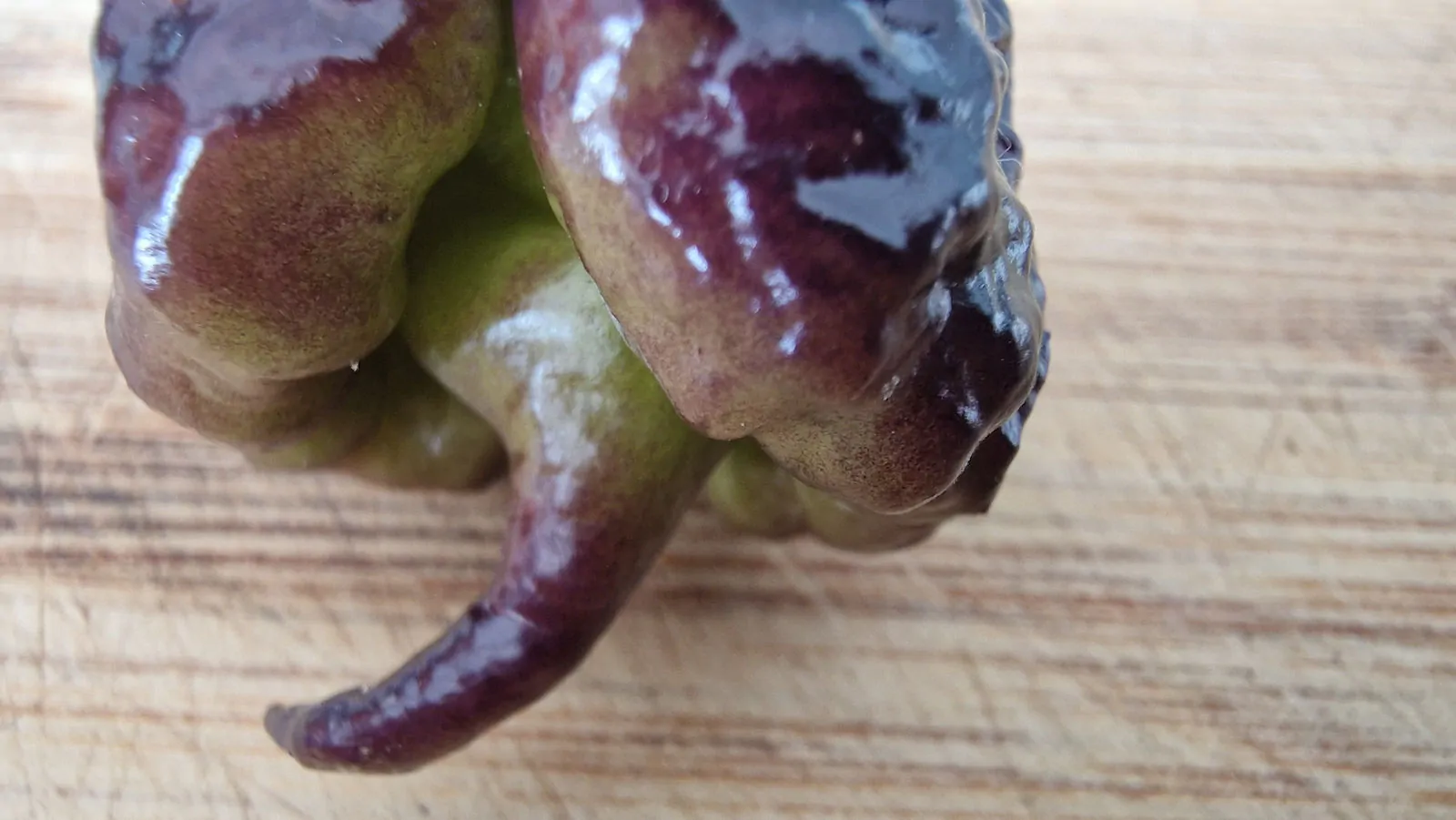 Carolina Reaper Purple Chilli Seeds - Image 11