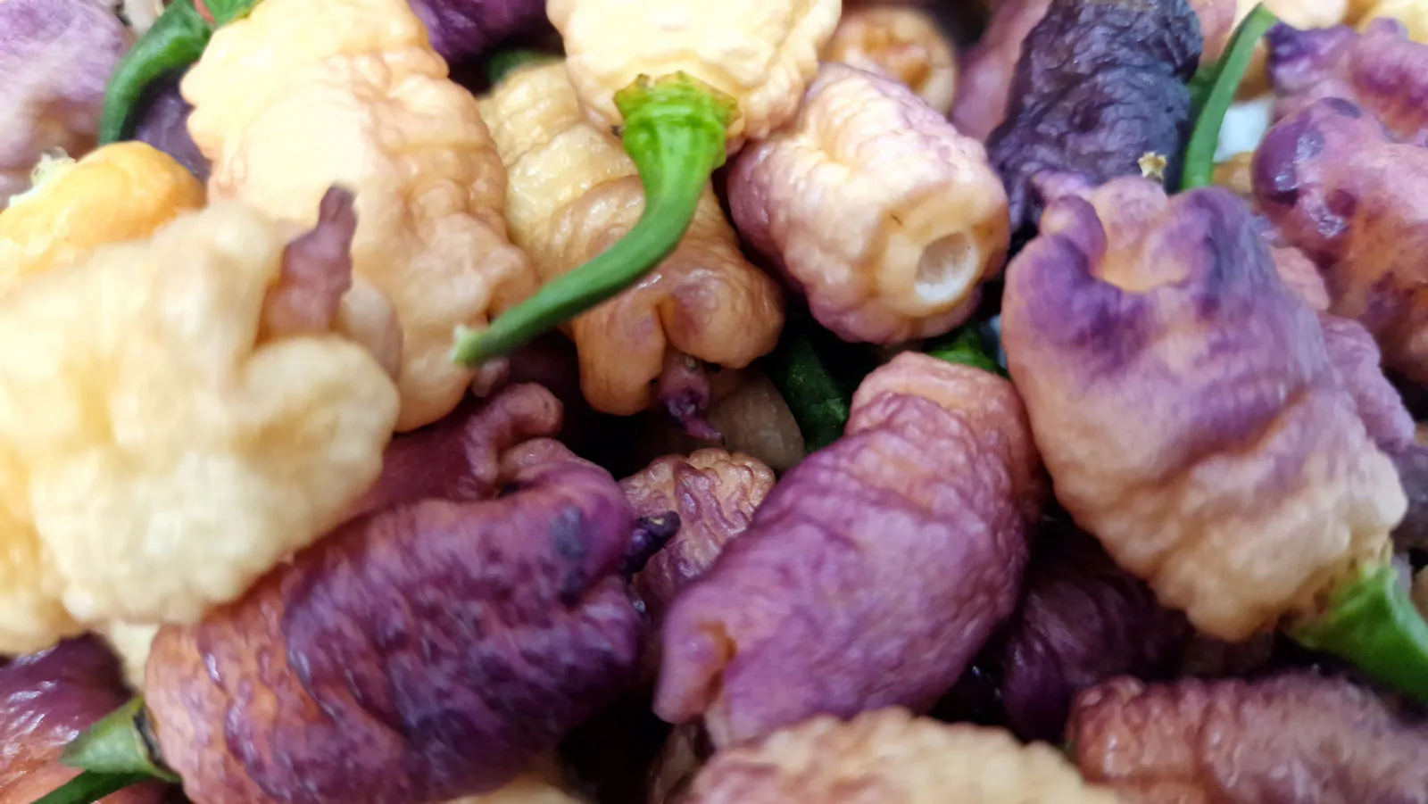 Carolina Reaper Pink Chilli Seeds