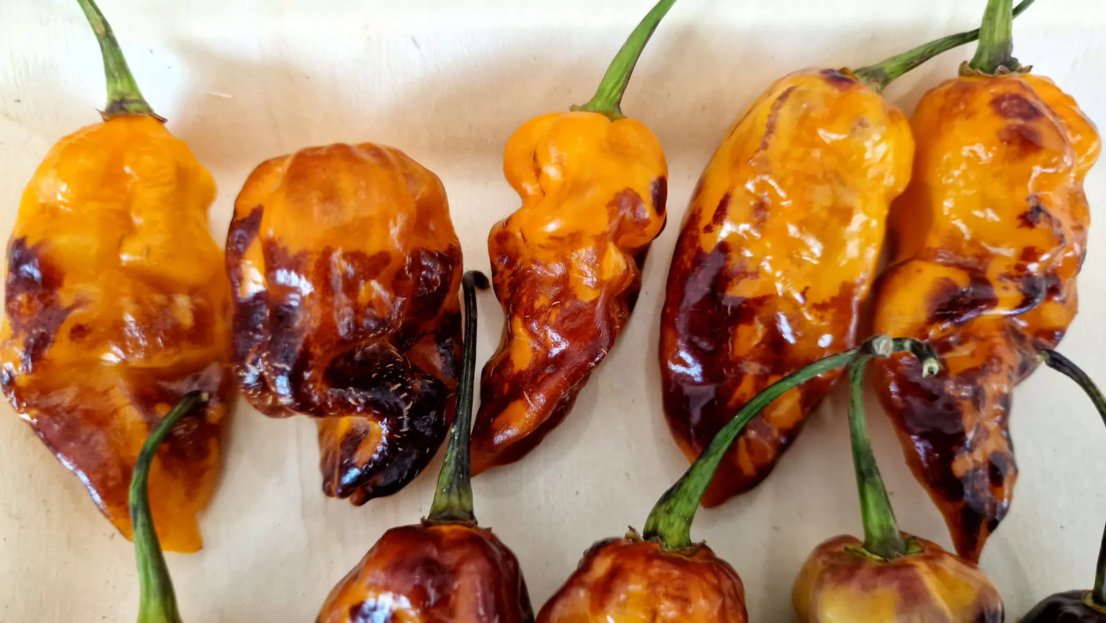 Pink Tiger X Moruga Yellow Chilli Seeds - Image 3