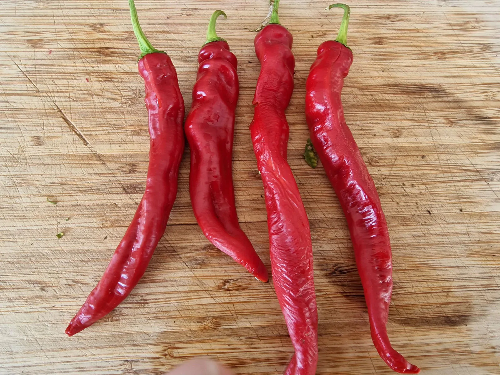 HJ8 Total Eclipse Space Chilli Seeds