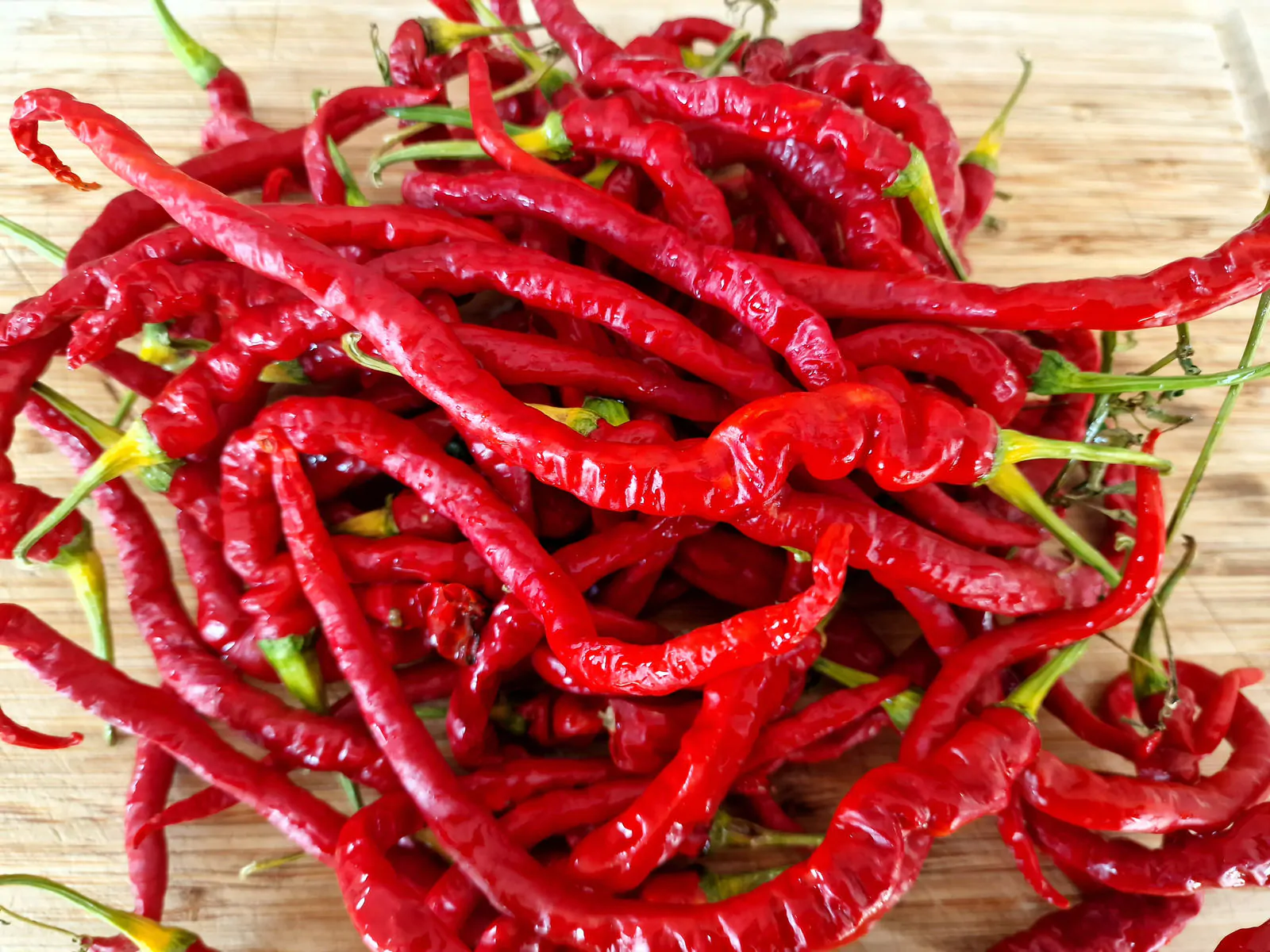 HJ4 Comets Tail Space Chilli