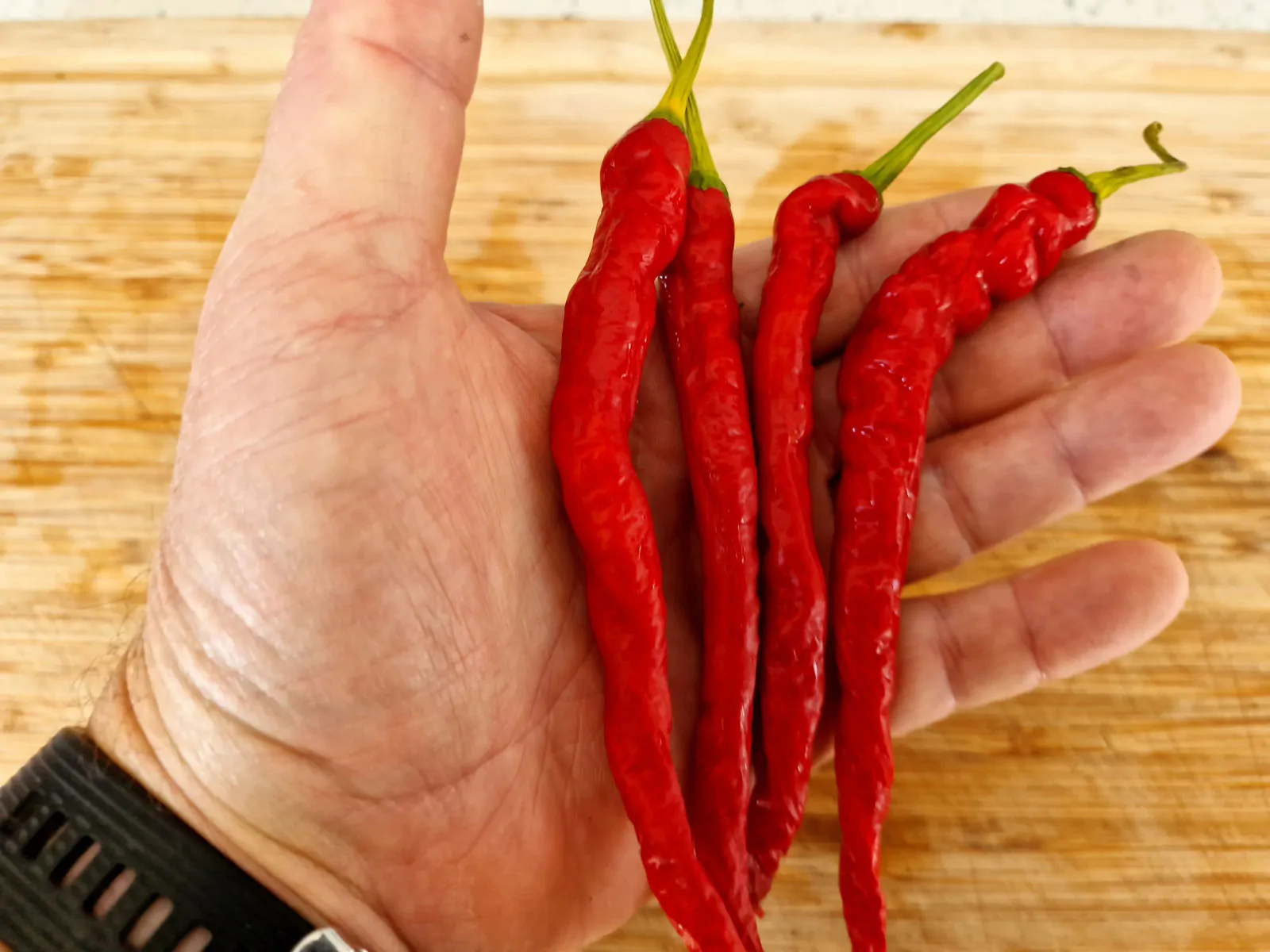 HJ7 Super Nova Space Chilli Seeds - Image 5