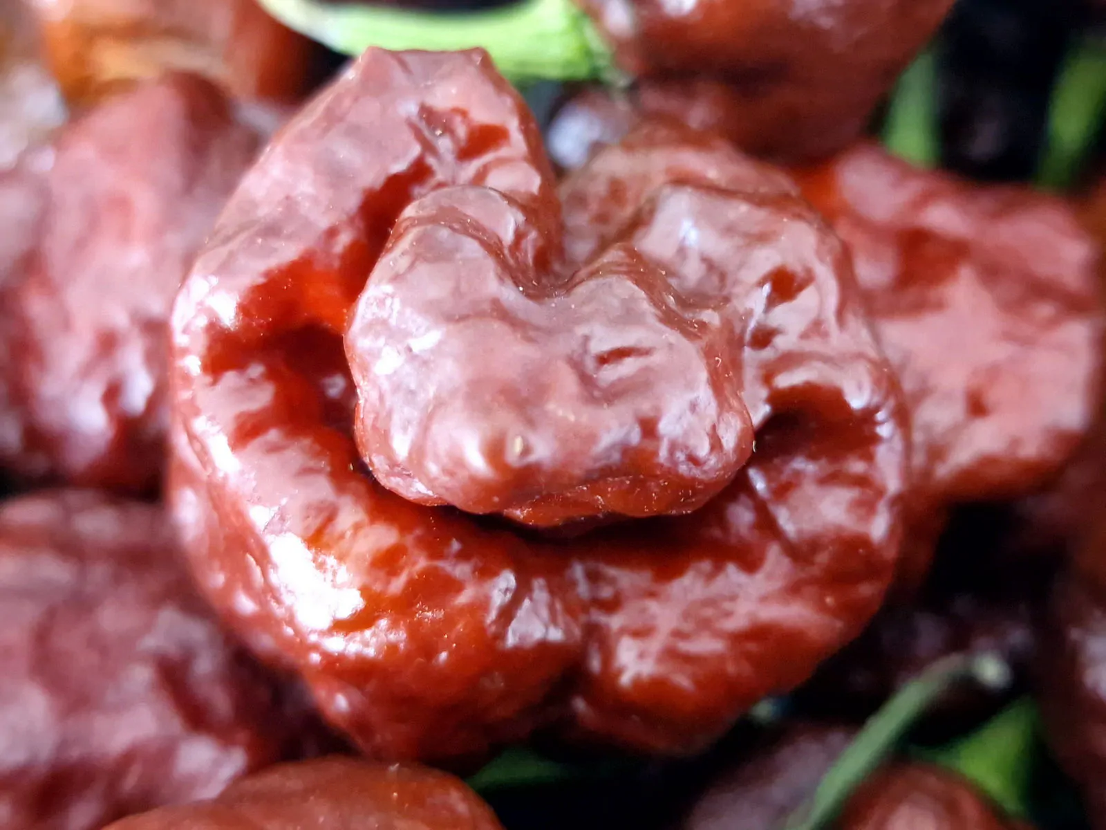 Trinidad Moruga Scorpion Chocolate - Image 11