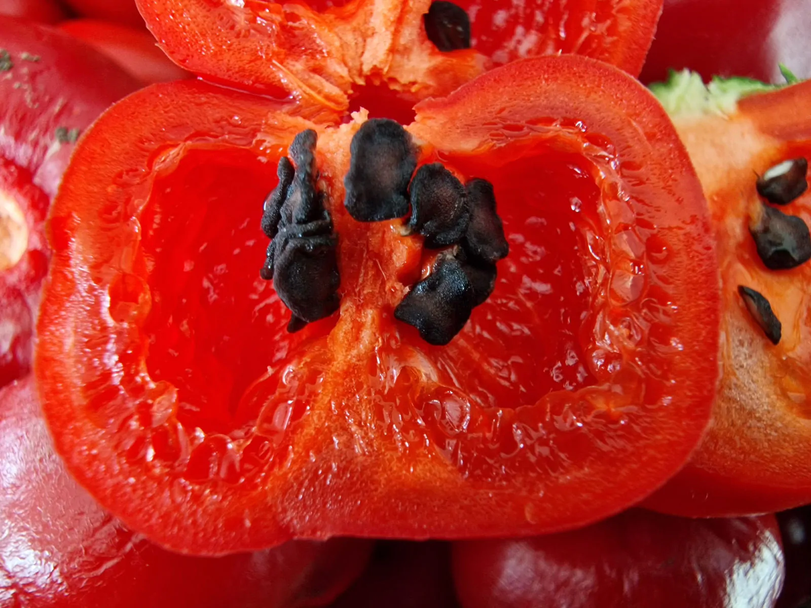 Rocoto Red Chilli Seeds - Image 5
