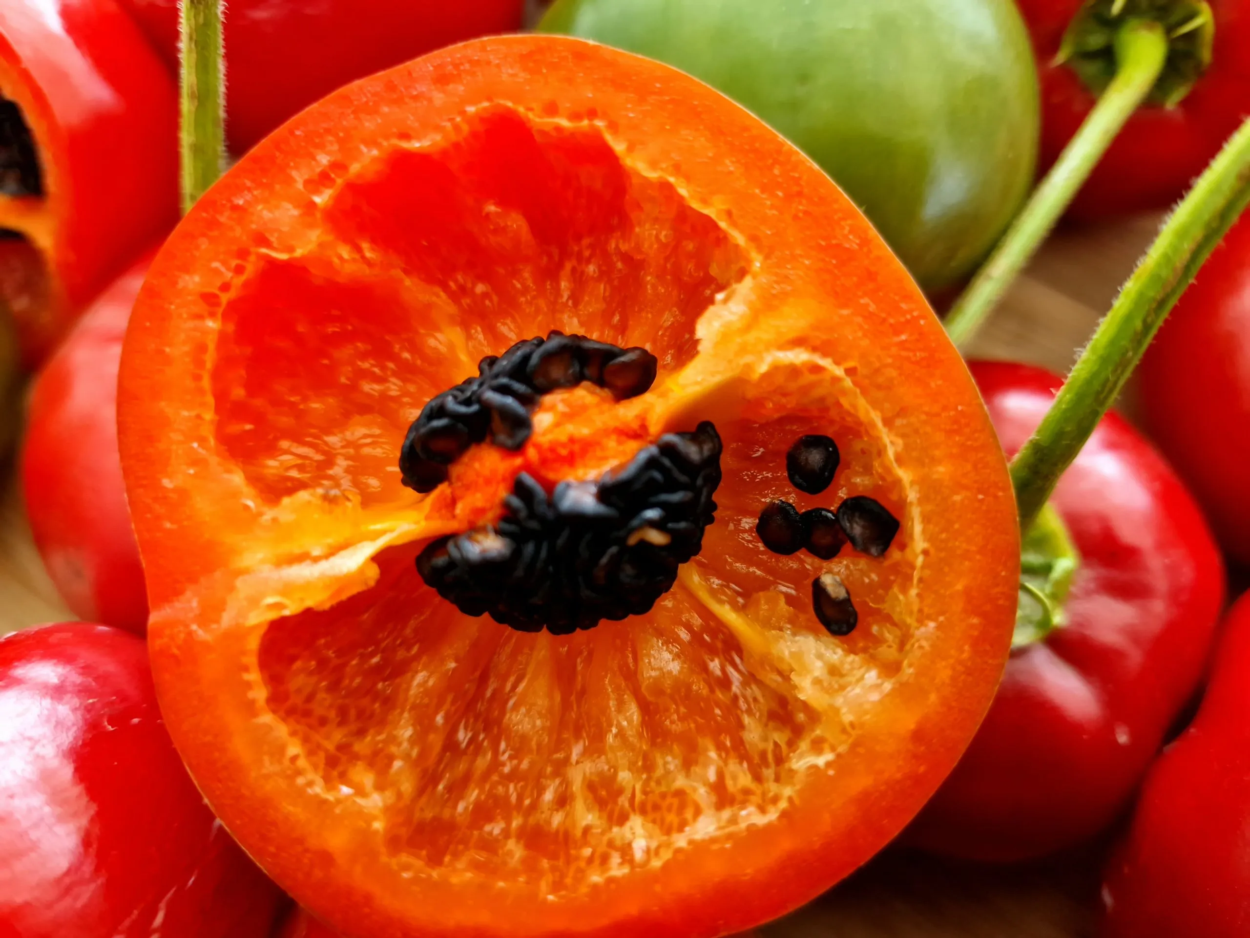 Giant Rocoto Chilli Seeds - Image 5