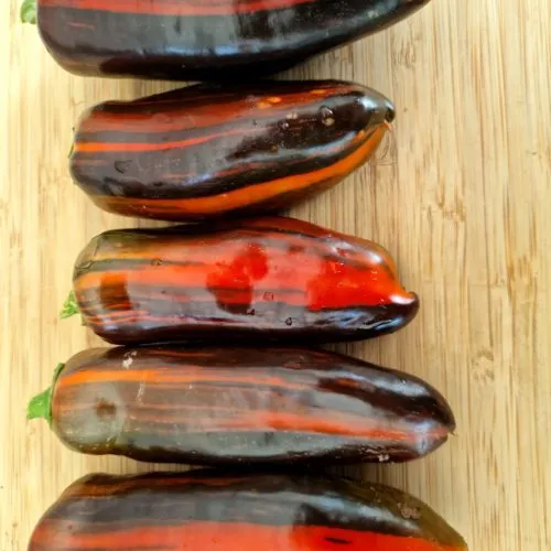 Candy Cane Chocolate Cherry Pepper Seeds