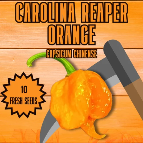 Carolina Reaper Orange Chilli Seeds