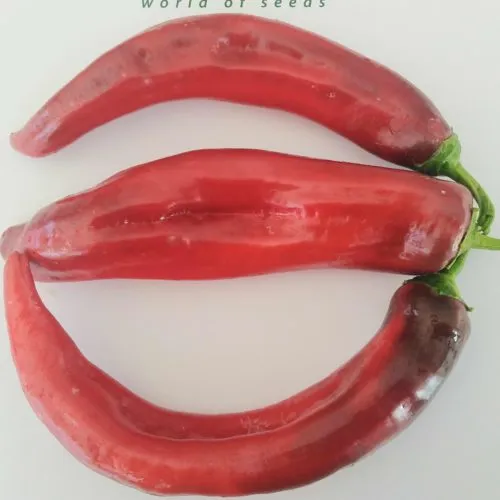 Jalapeno Chernobyl