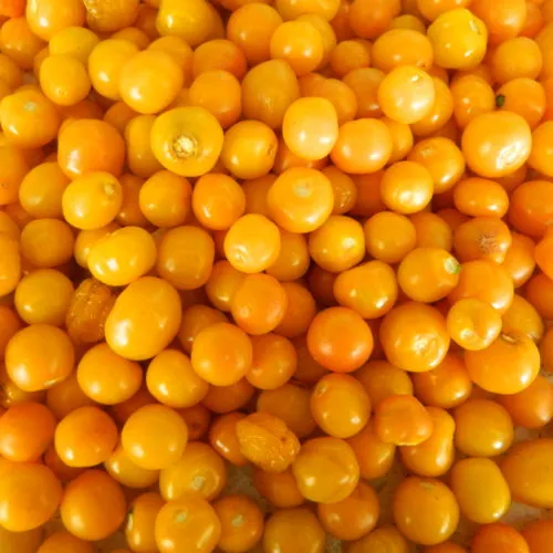 Aji Charapita Iquitos Chilli Seeds