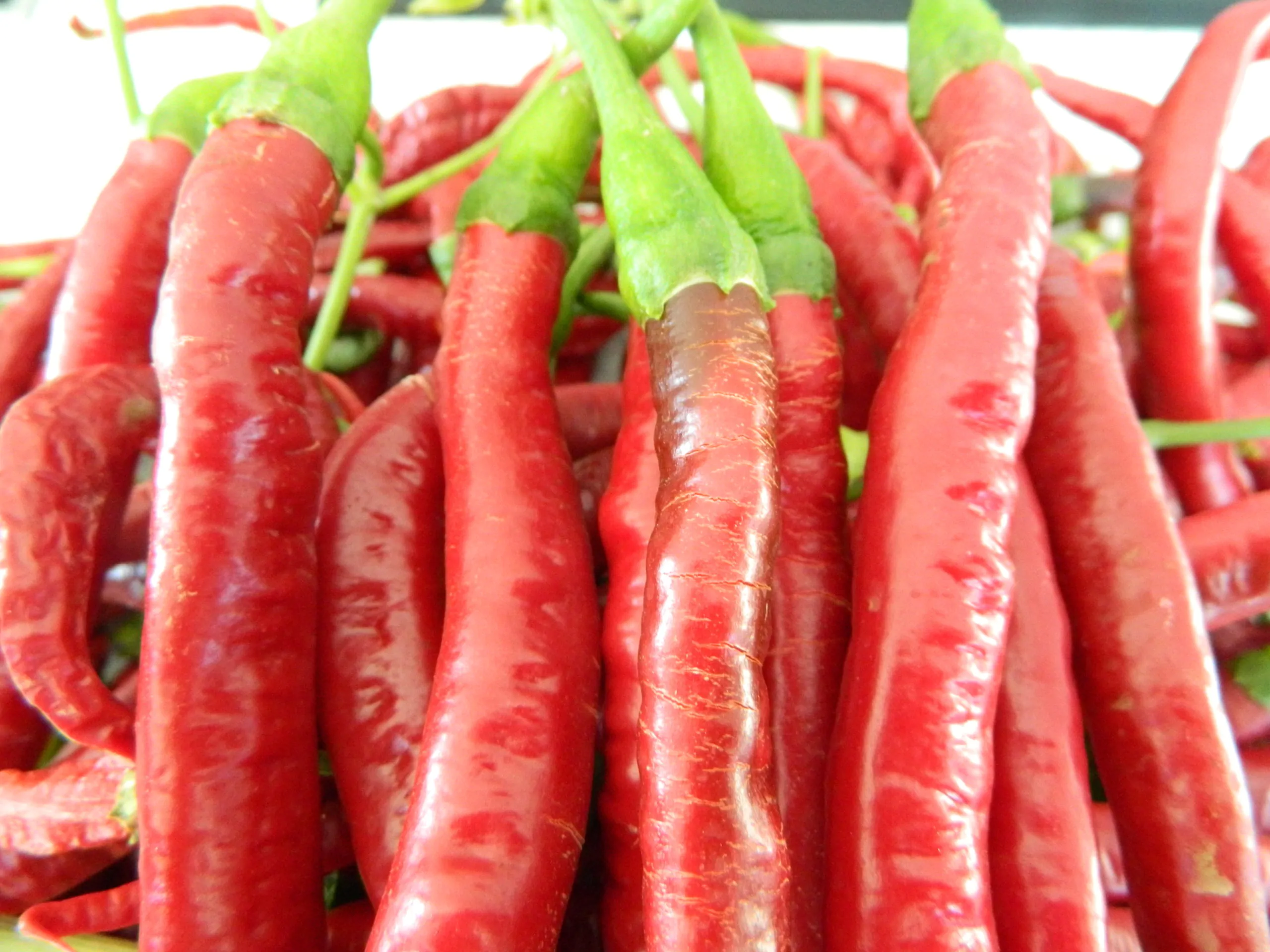 Joe's Long Cayenne Chilli Seeds - Image 5