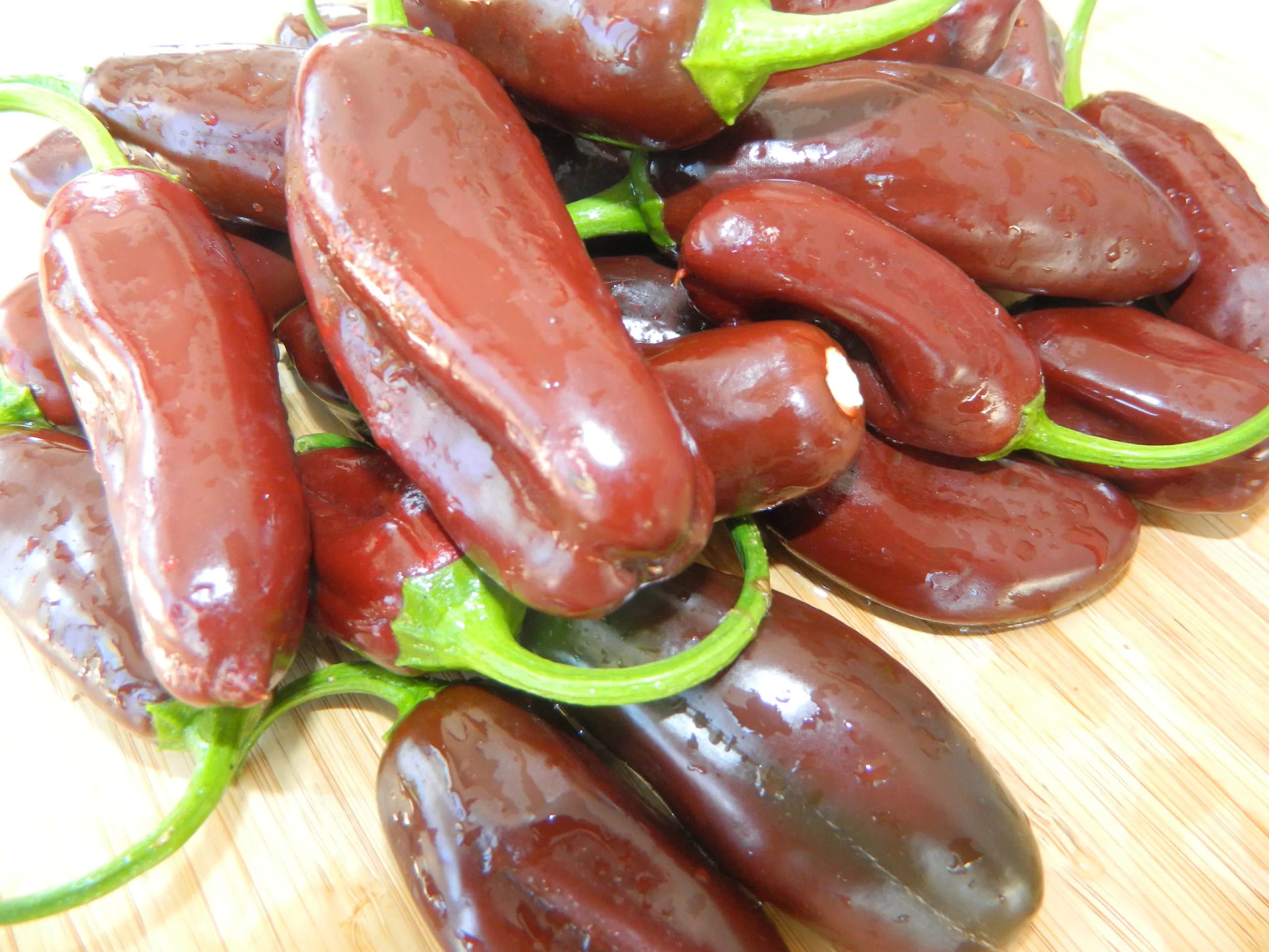 Brown Jalapeno Chilli Seeds - Image 2