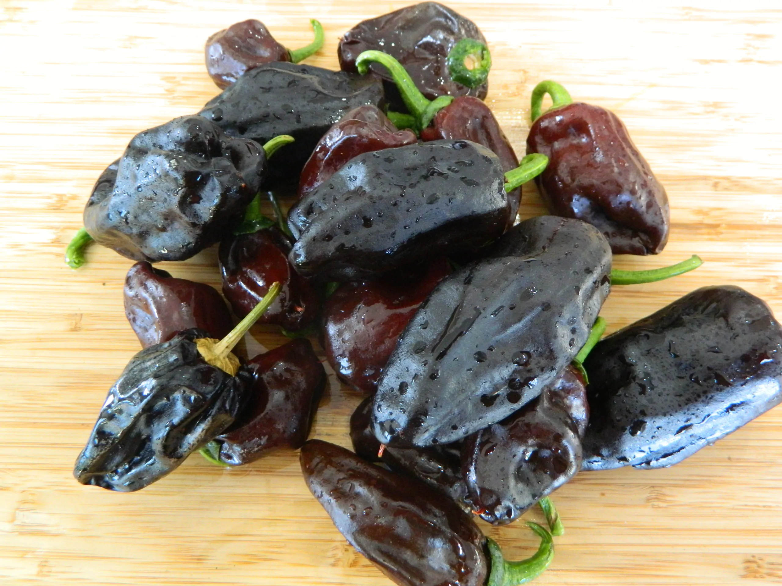 Chilhuacle Negro Chilli Seeds - Image 5