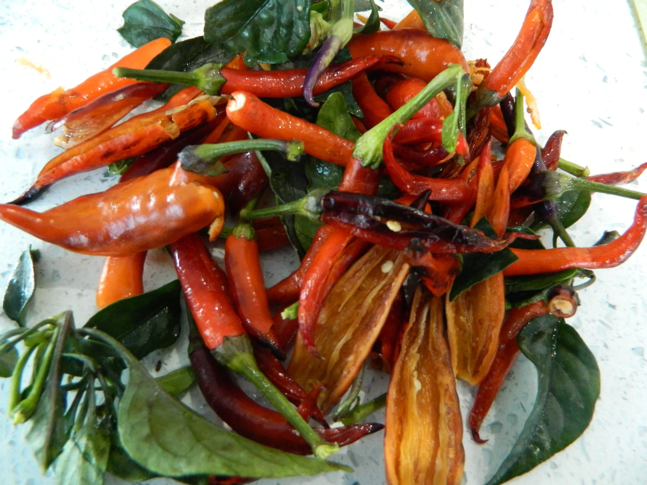 Maya Black Blood Chilli Seeds - Image 5