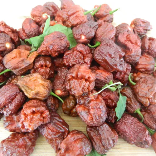 Jigsaw Chocolate Chilli Seeds