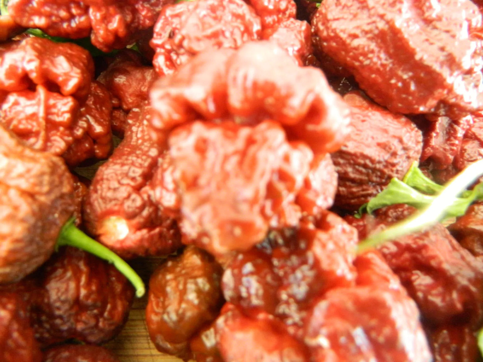 Jigsaw Chocolate Chilli Seeds - Image 2