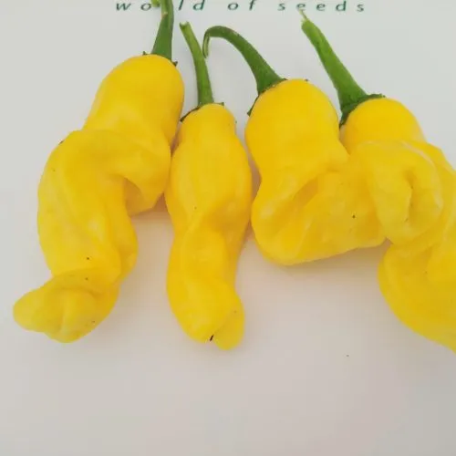 Peters Pepper Yellow Chilli Seeds