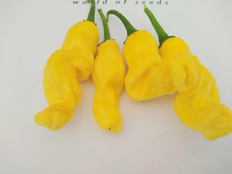 Peters Pepper Yellow Chilli Seeds
