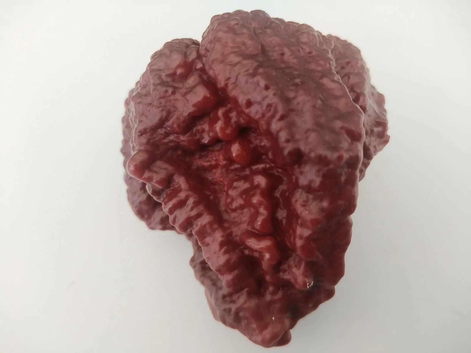 Jigsaw Chocolate Chilli Seeds - Image 5