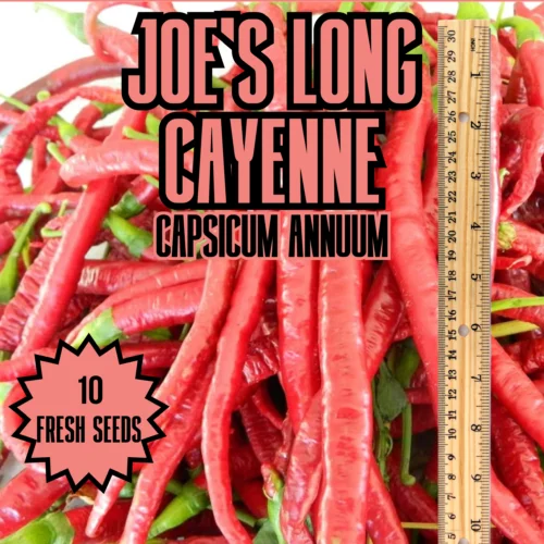 Joe's Long Cayenne Chilli Seeds