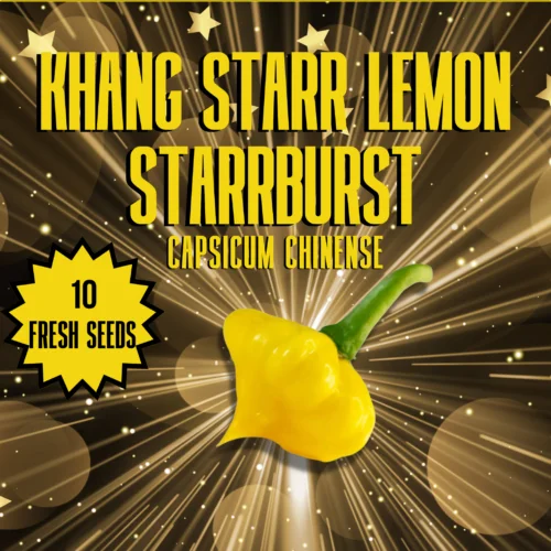 Khang Starr Lemon Starrburst Chilli Seeds