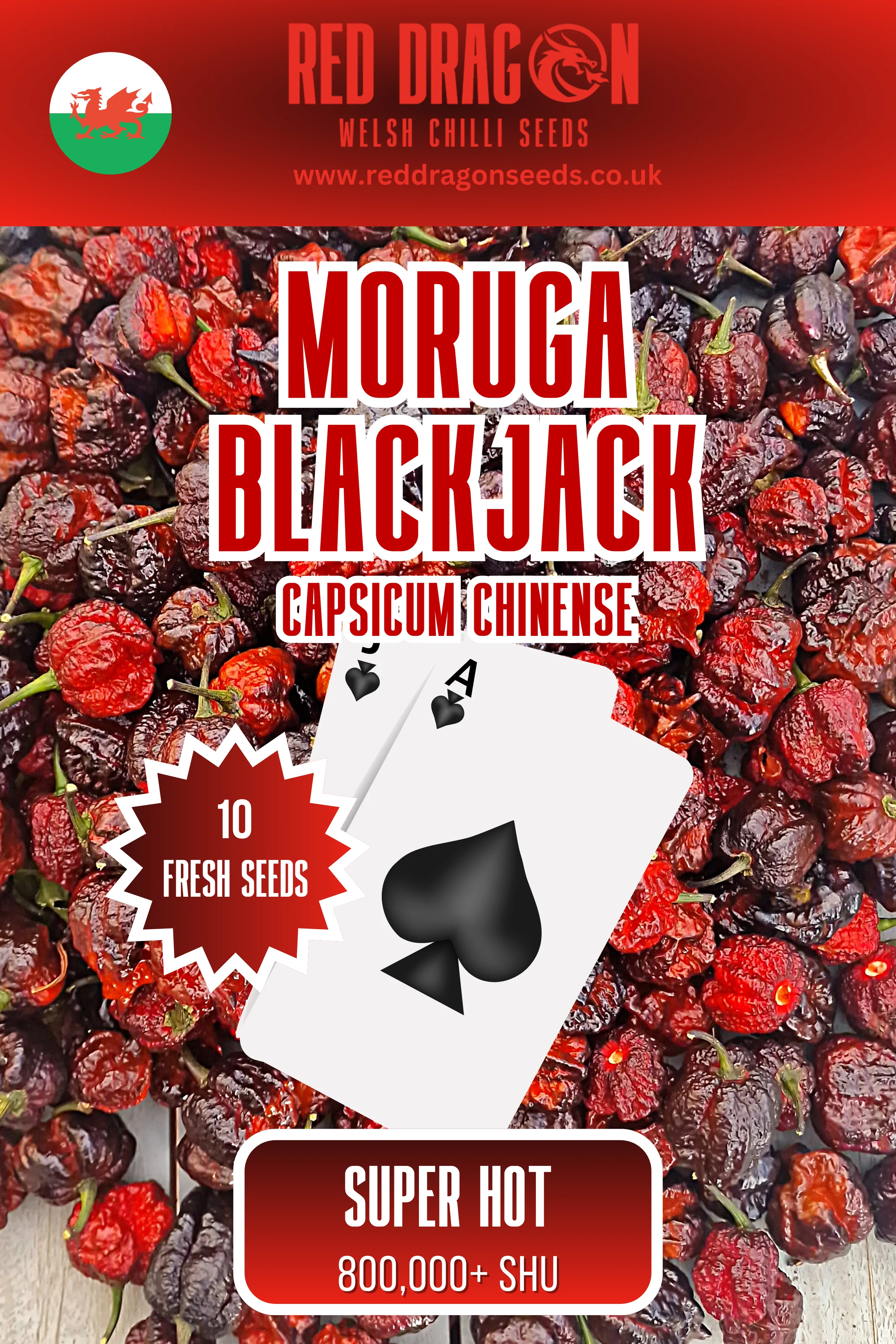 Moruga Blackjack Chilli Seeds