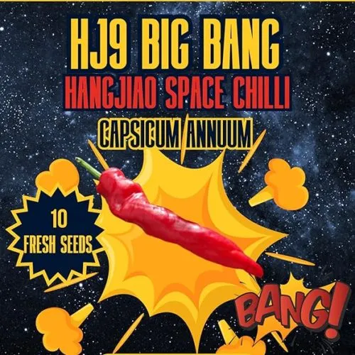HJ9 Big Bang Space Chilli Seeds