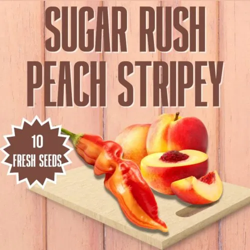 Sugar Rush Peach Stripey Chilli Seeds