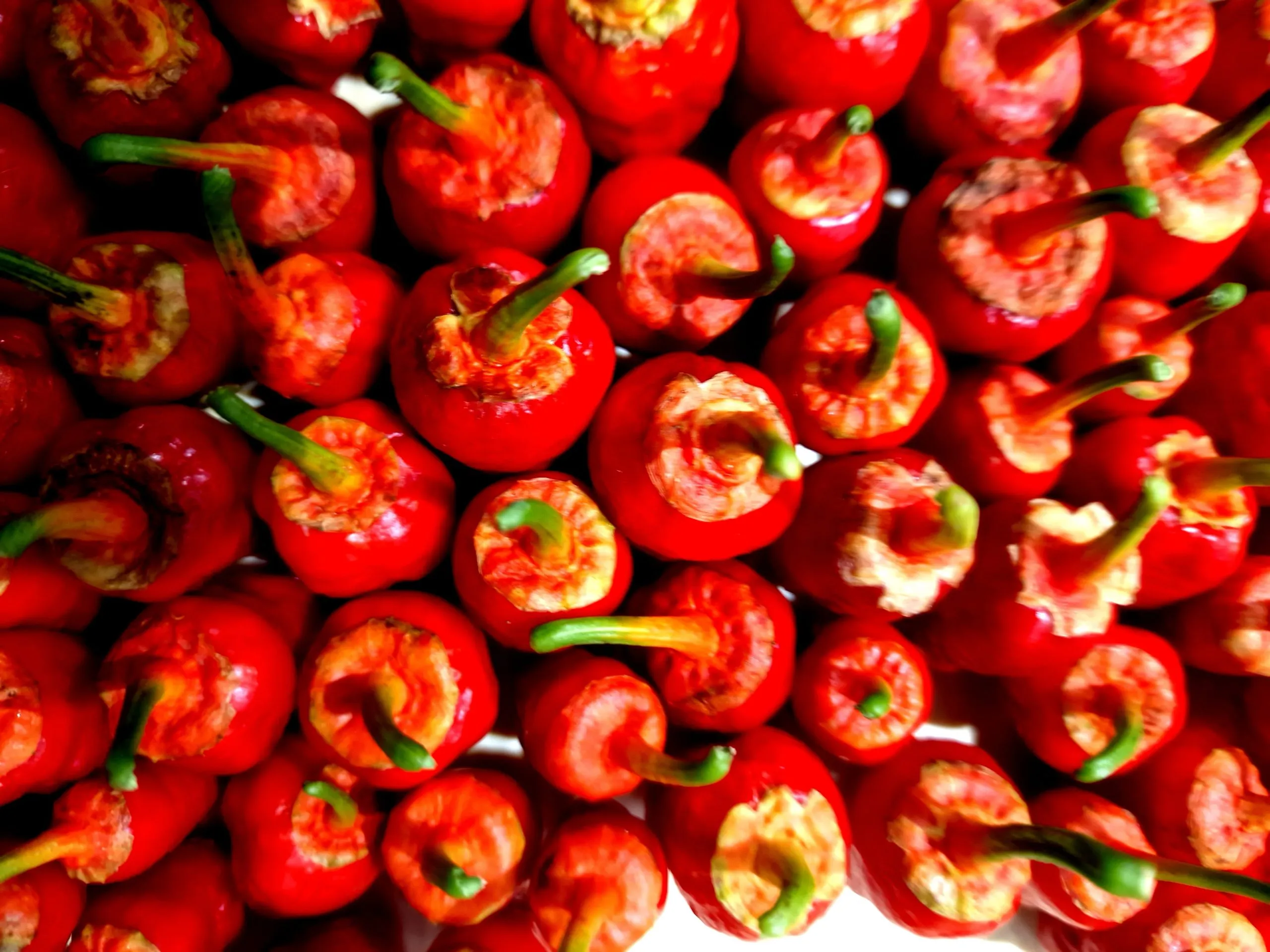 Frankenstein BBG Chilli Seeds - Image 7