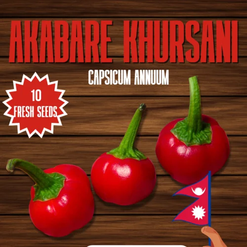 Akabare Khursani Chilli Seeds
