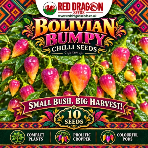Bolivian Bumpy Chilli Seeds