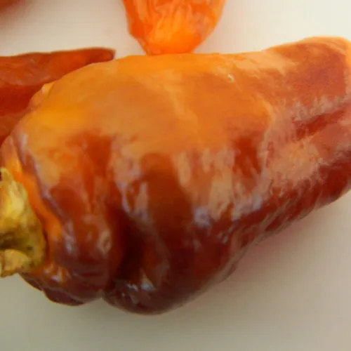 Bolivian Bumpy Chilli Seeds