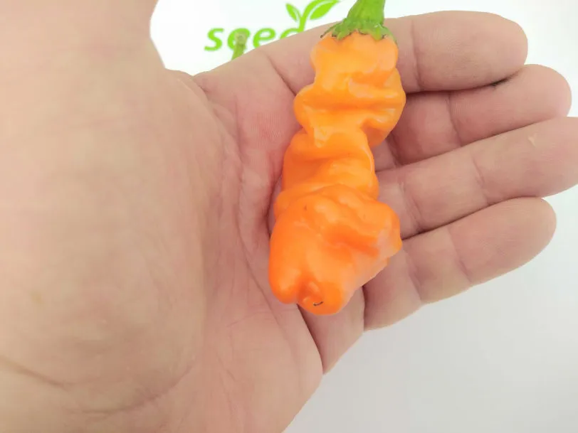 Peters Pepper Orange Chilli Seeds