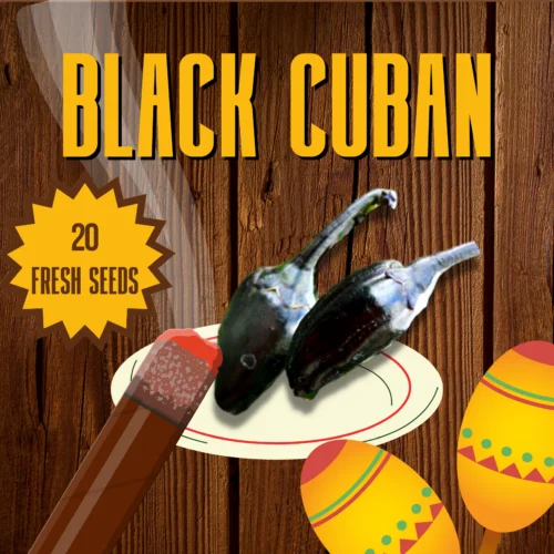Black Cuban Chilli Seeds